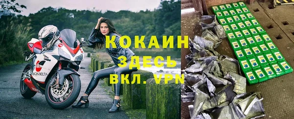 шишки Абинск