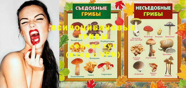 крисы Алзамай