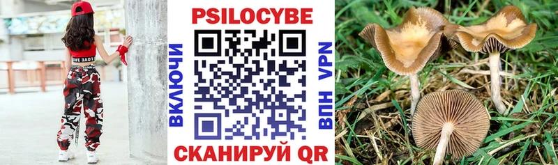 Галлюциногенные грибы ЛСД  Губкин 