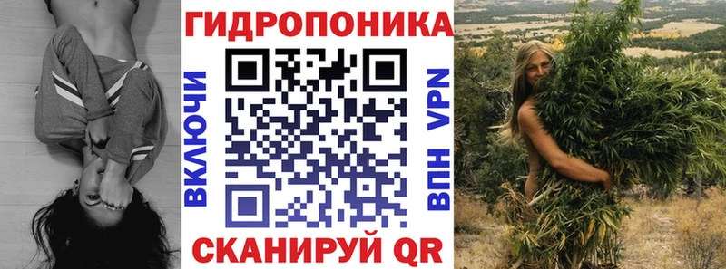 нарко площадка как зайти  Губкин  Канабис план 